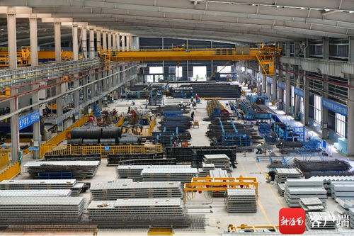 解封后的海口云龍產(chǎn)業(yè)園 建筑工程復(fù)工復(fù)產(chǎn)有序進(jìn)行中